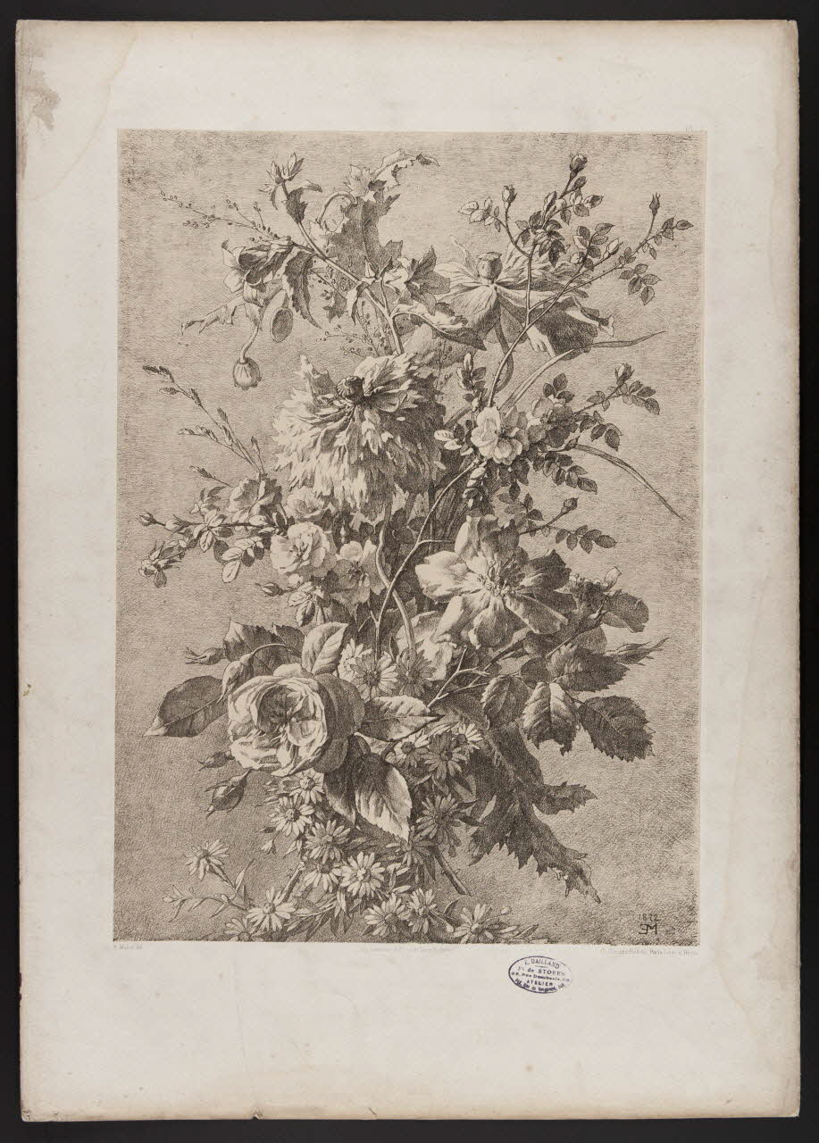 estampe Flore pittoresque 1975.46.467.8 Photo