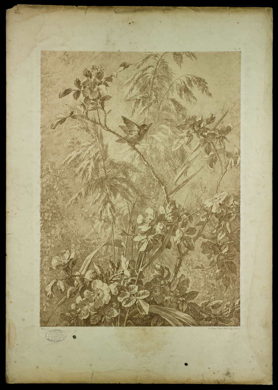 estampe Flore 1975.46.467.9 Photo