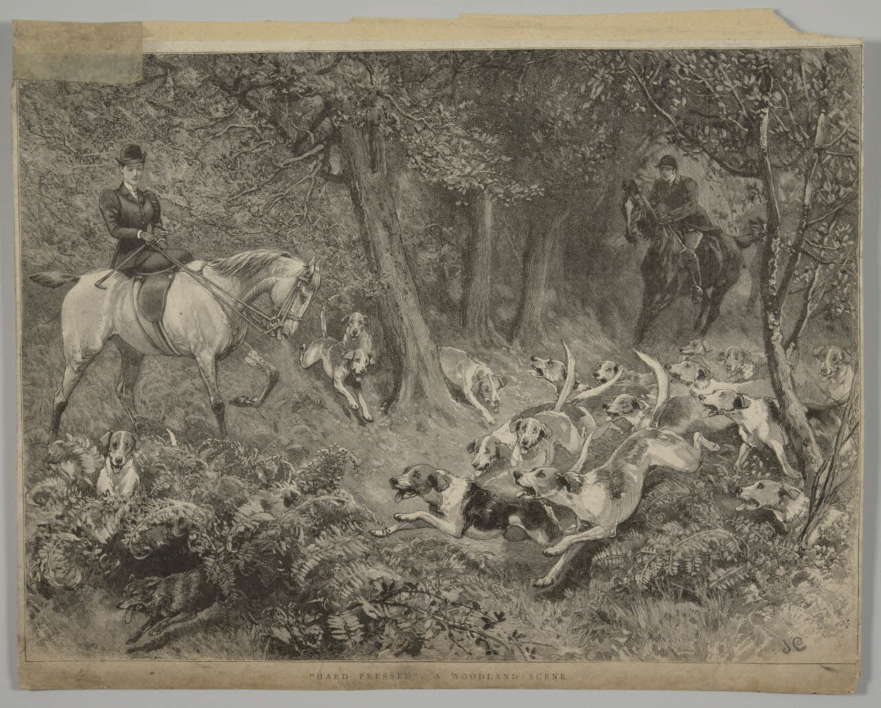 estampe "HARD PRESSED" : A WOODLAND SCENE 1975.46.98 Photo