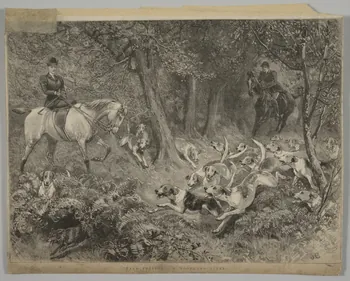 estampe "HARD PRESSED" : A WOODLAND SCENE 1975.46.98 Photo