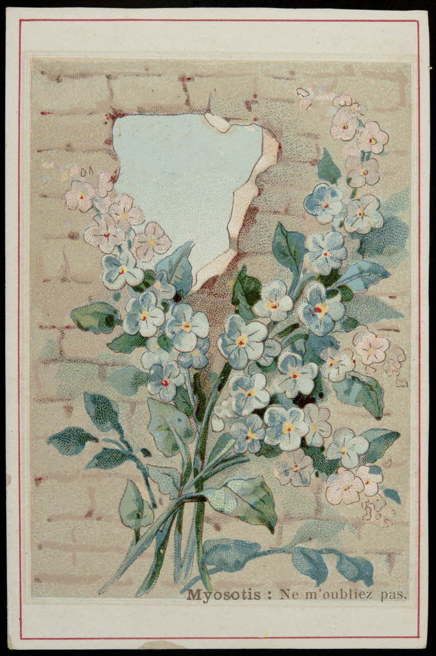 Léopold Verger carte réclame Myosotis : Ne m'oubliez pas. 1878-1914 1994.25.193 Photo