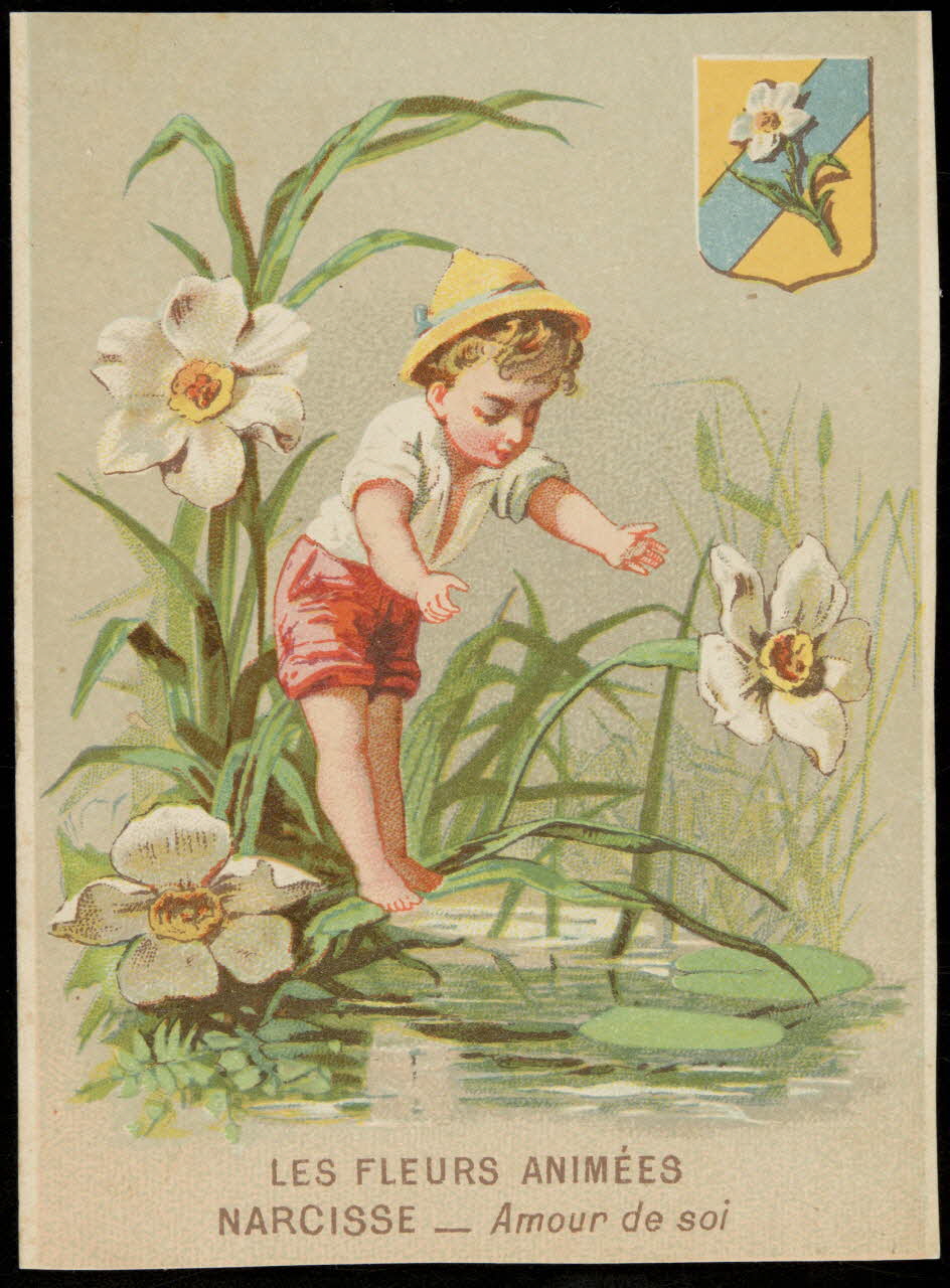 carte réclame LES FLEURS ANIMEES  NARCISSE _ Amour de soi 1994.31.193.1 Photo