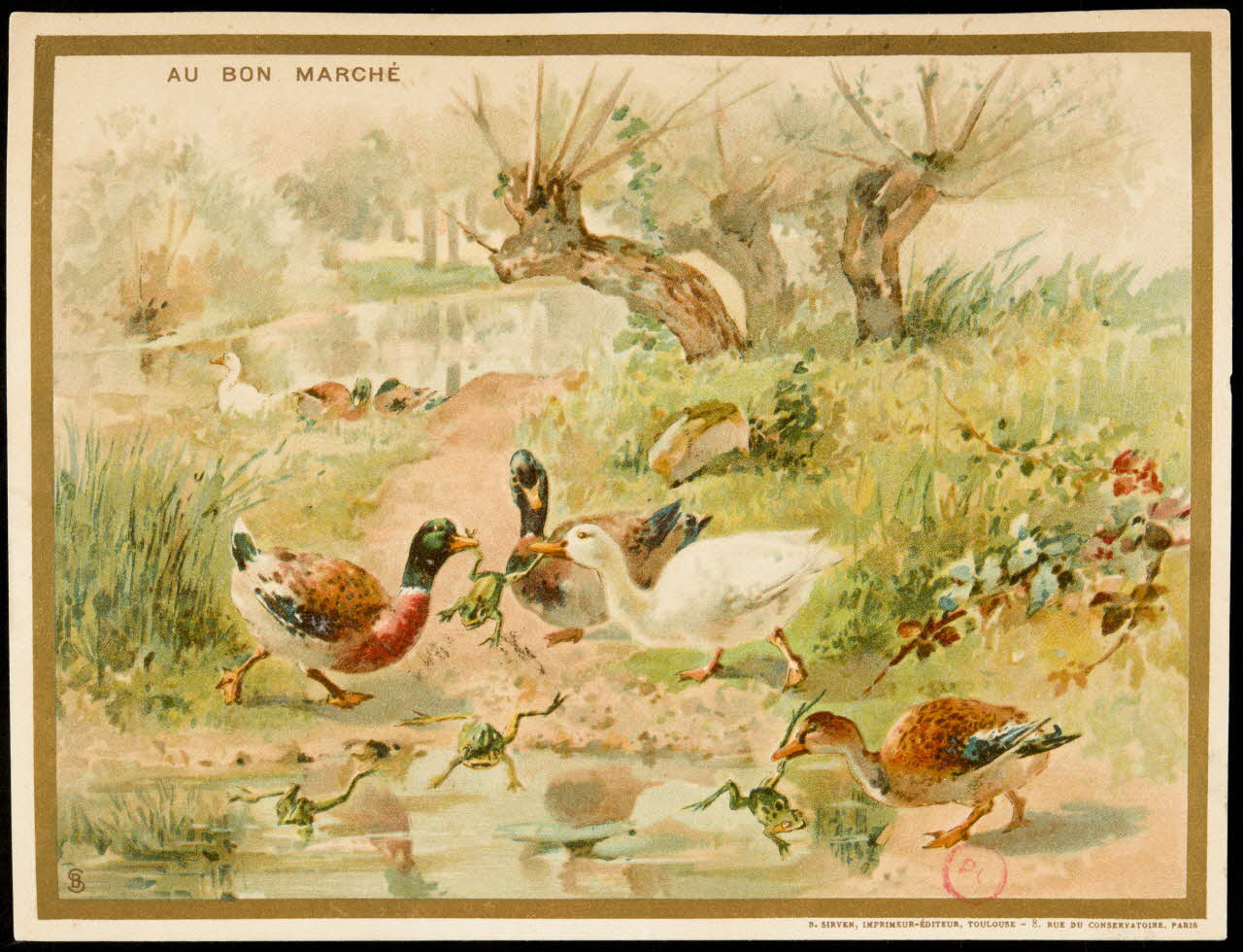 carte réclame Des canards sauvages attrapent dans leurs becs des grenouilles près d'un lac 1994.31.233.1 Photo
