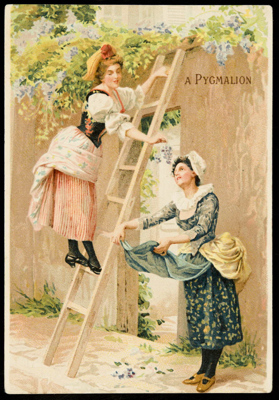 carte réclame Une femme sur une échelle, cueille du raisin, une autre femme le récupère dans son tablier 1994.31.293.1 Photo