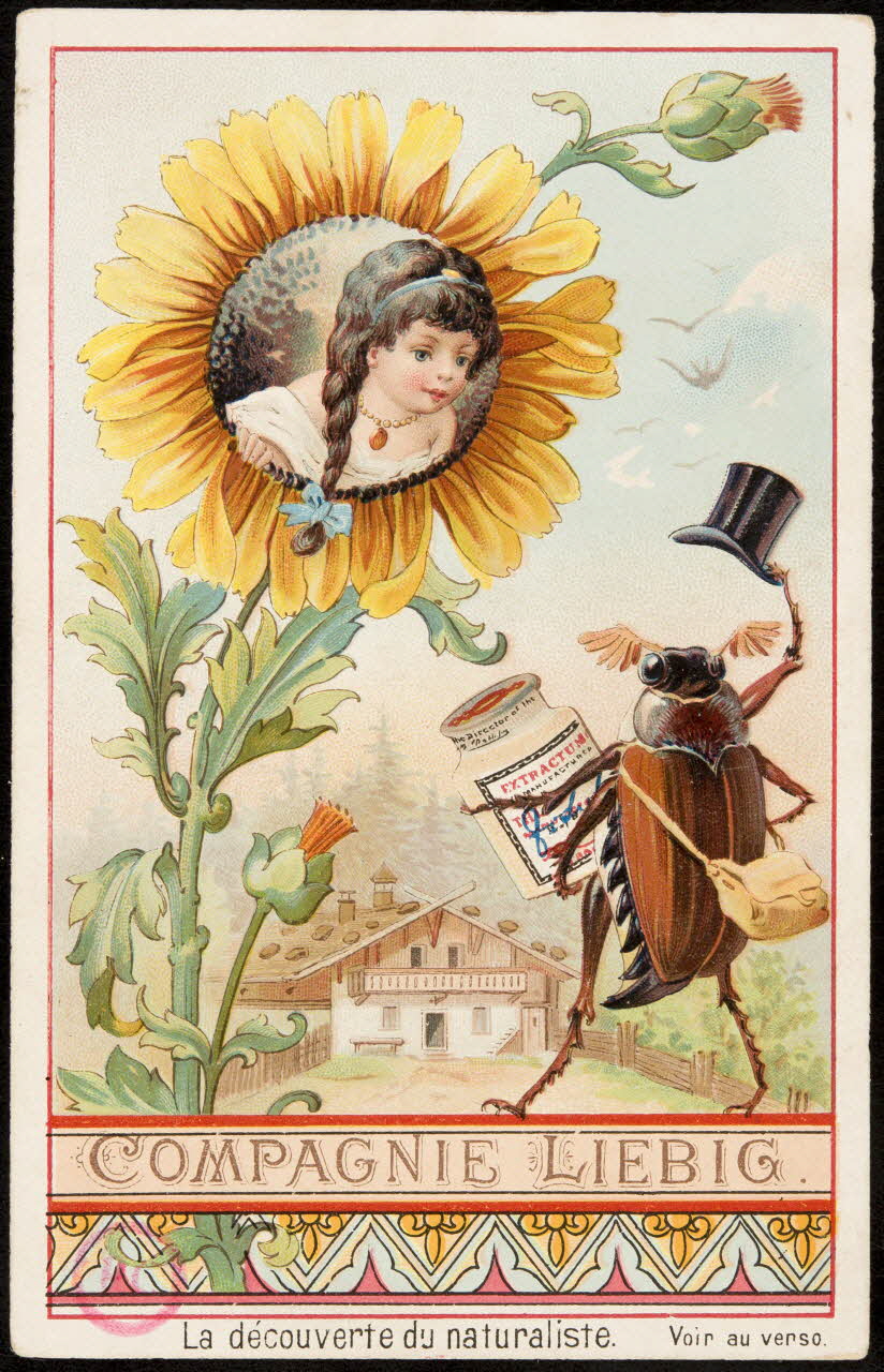 carte réclame La découverte du naturaliste. 1994.31.344.1 Photo