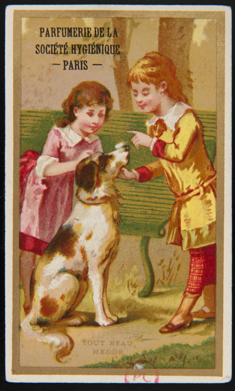 carte réclame TOUT BEAU,  MEDOR 1886-1889 1994.31.44.1 Photo