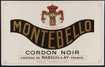 buvard publicitaire CHAMPAGNE  MONTEBELLO 1994.34.1198 Photo