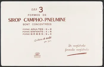 buvard publicitaire LES 3  FORMES DE  SIROP CAMPHO-PNEUMINE 1994.34.1451  Photo
