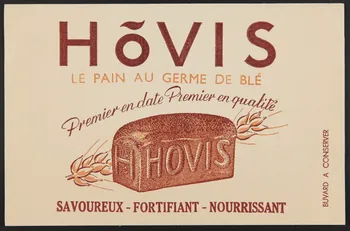 buvard publicitaire HOVIS  LE PAIN AU GERME DE BLE 1994.34.212 Photo
