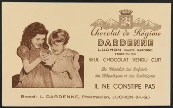 buvard publicitaire Chocolat de Régime  DARDENNE 1994.34.283 Photo