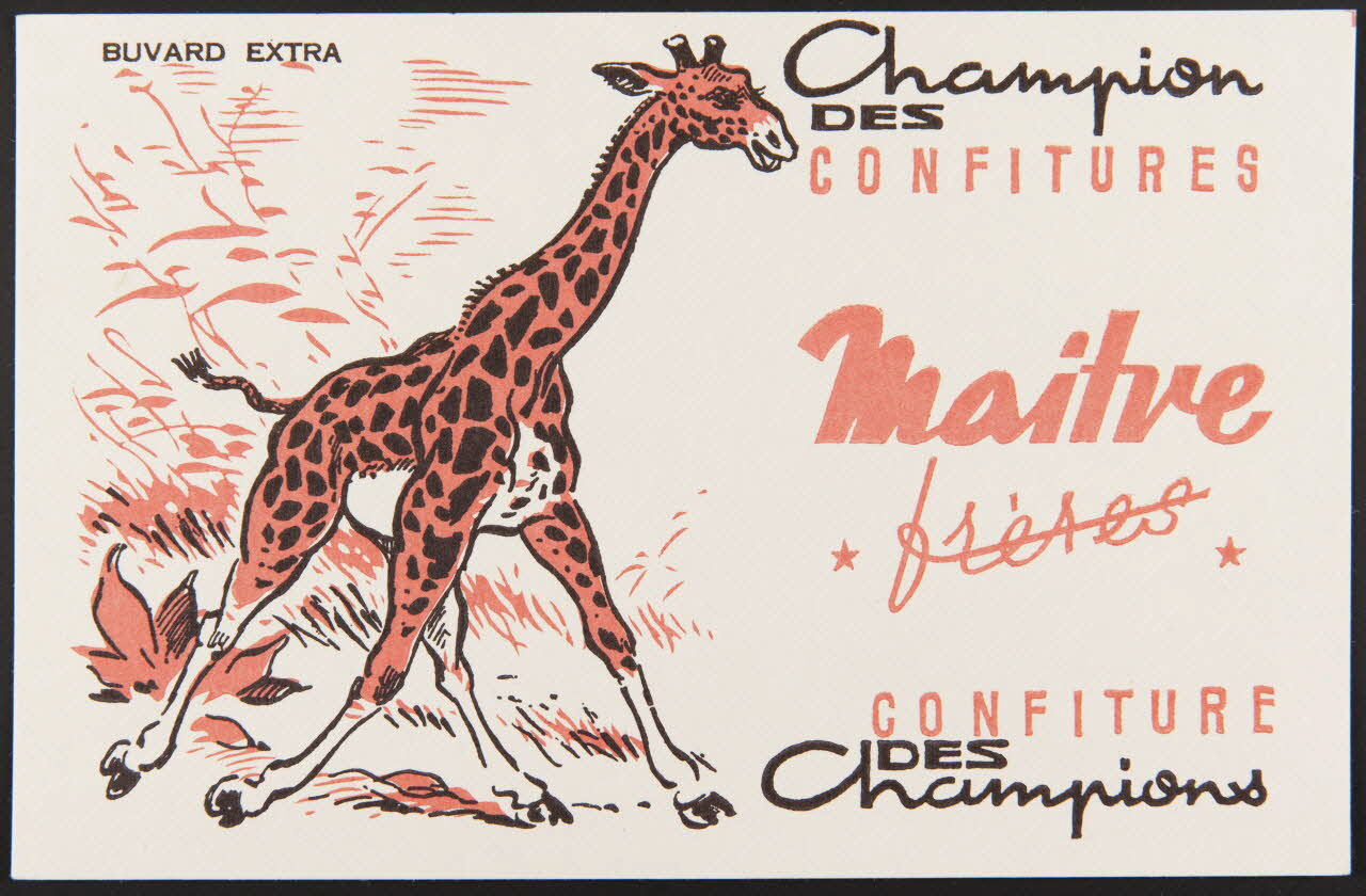 buvard publicitaire Champion  DES CONFITURES  Maitre  frères 1994.34.321 Photo