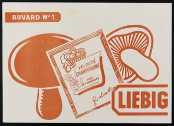 buvard publicitaire LIEBIG 1994.34.395 Photo