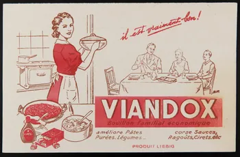 buvard publicitaire VIANDOX  Bouillon familial économique 1994.34.408 Photo