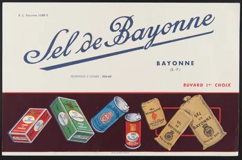 buvard publicitaire Sel de Bayonne 1994.34.413 Photo