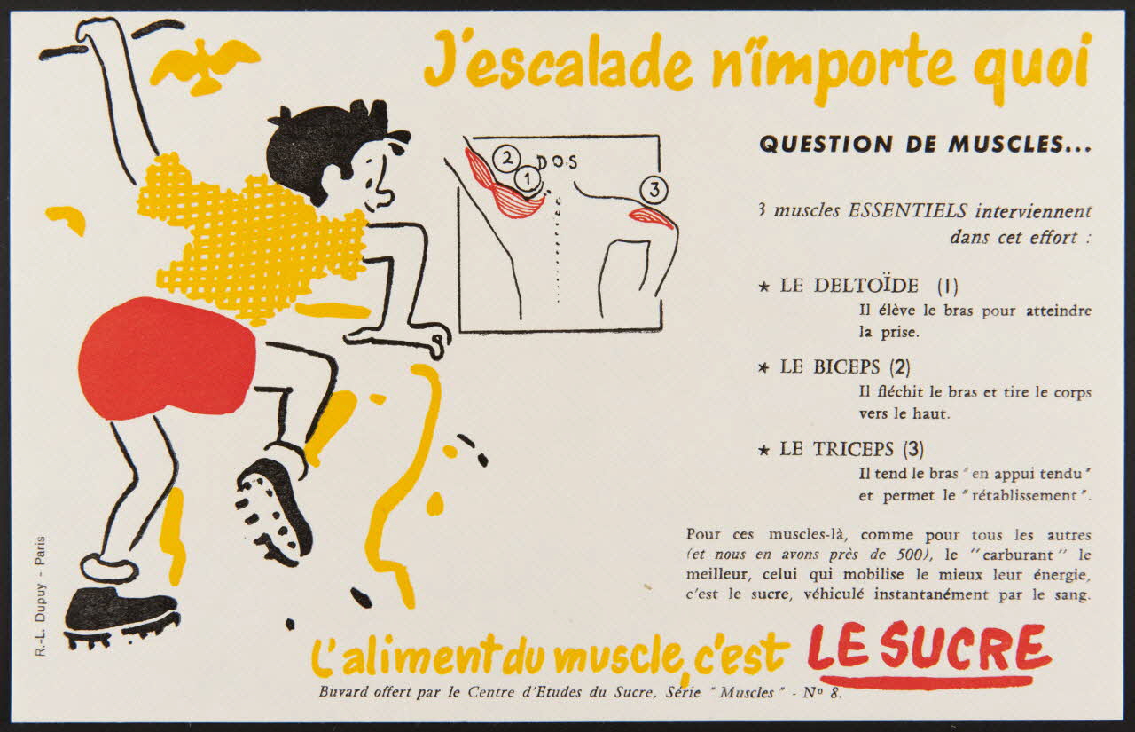 buvard publicitaire L'aliment du muscle, c'est LE SUCRE 1994.34.416 Photo