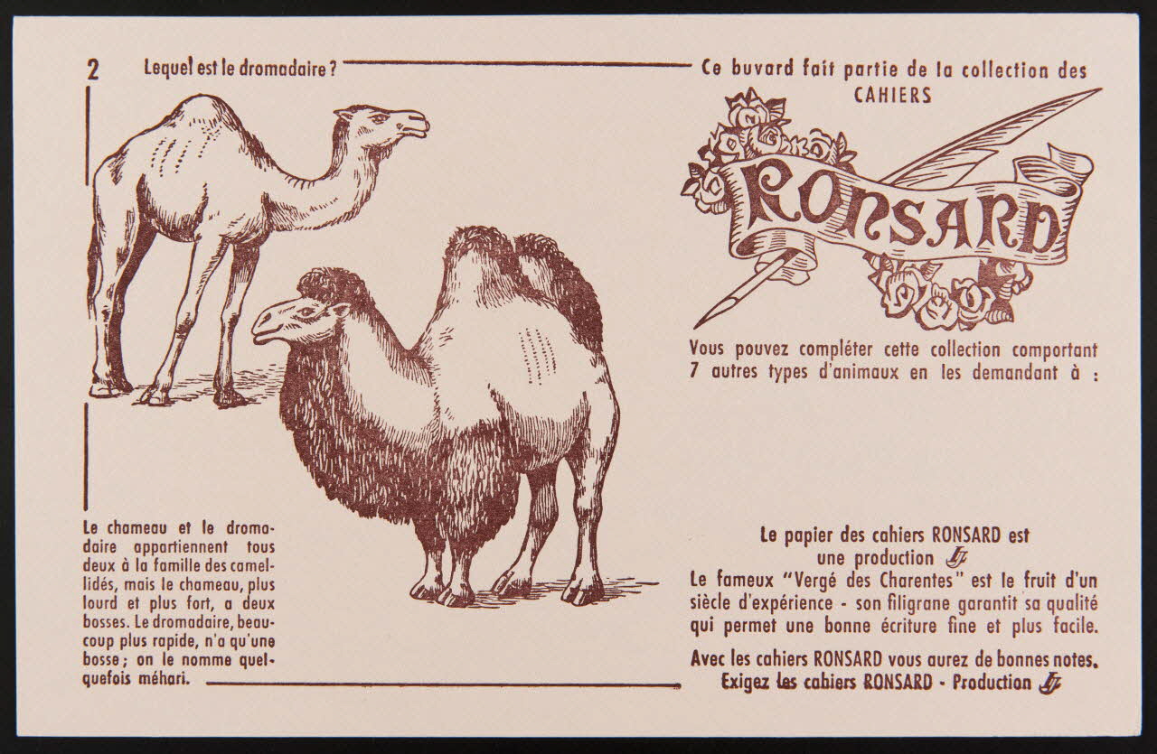 buvard publicitaire Ce buvard fait partie de la collection des  CAHIERS  RONSARD 1994.34.881 Photo