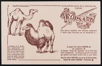 buvard publicitaire Ce buvard fait partie de la collection des  CAHIERS  RONSARD 1994.34.881 Photo