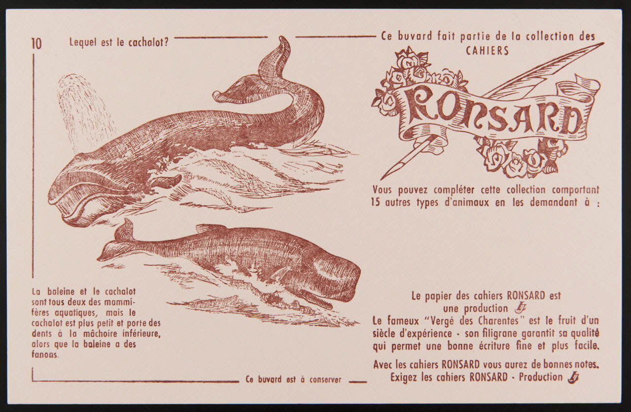 buvard publicitaire Ce buvard fait partie de la collection des  CAHIERS  RONSARD 1994.34.888 Photo