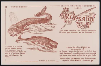 buvard publicitaire Ce buvard fait partie de la collection des  CAHIERS  RONSARD 1994.34.888 Photo