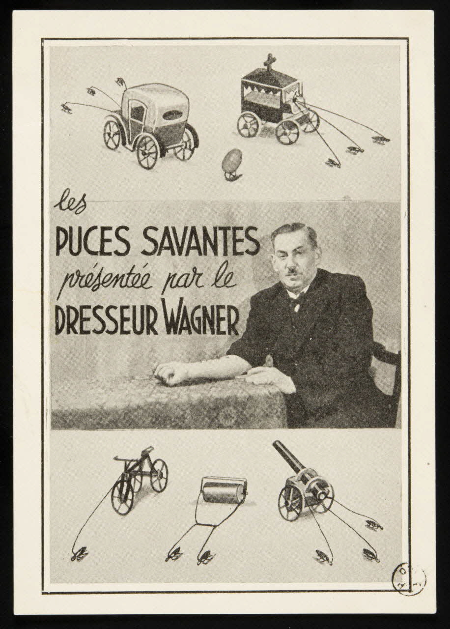 estampe les  PUCES SAVANTES 1967.108.13 Photo Mucem