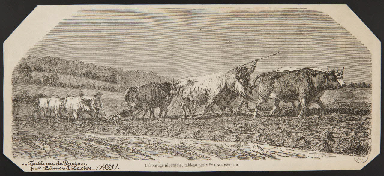 estampe Labourage nivernais, tableau par Mlle Rosa Bonheur. 1967.116.1042 Photo