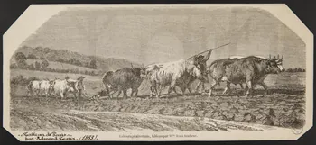estampe Labourage nivernais, tableau par Mlle Rosa Bonheur. 1967.116.1042 Photo