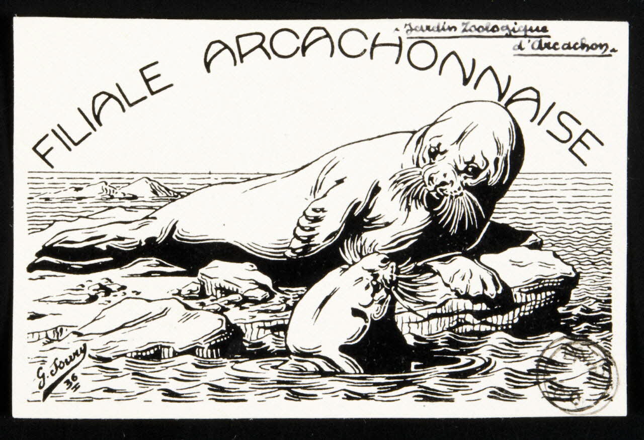 estampe FILIALE ARCACHONNAISE 1967.116.1078 Photo