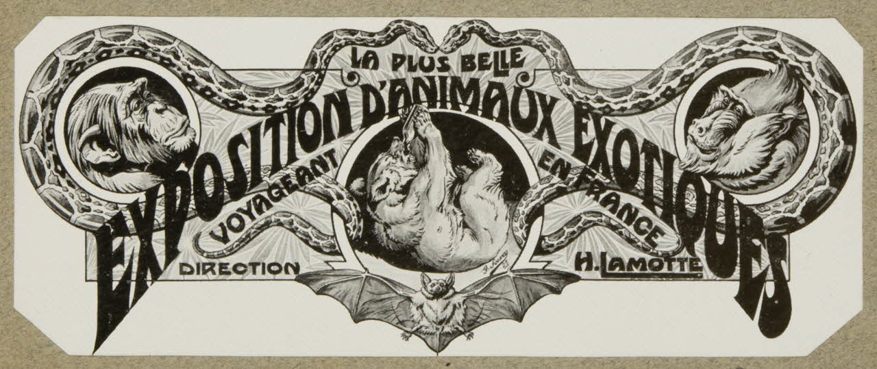 estampe LA PLUS BELLE  EXPOSITION D'ANIMAUX EXOTIQUES 1967.116.15.4 Photo