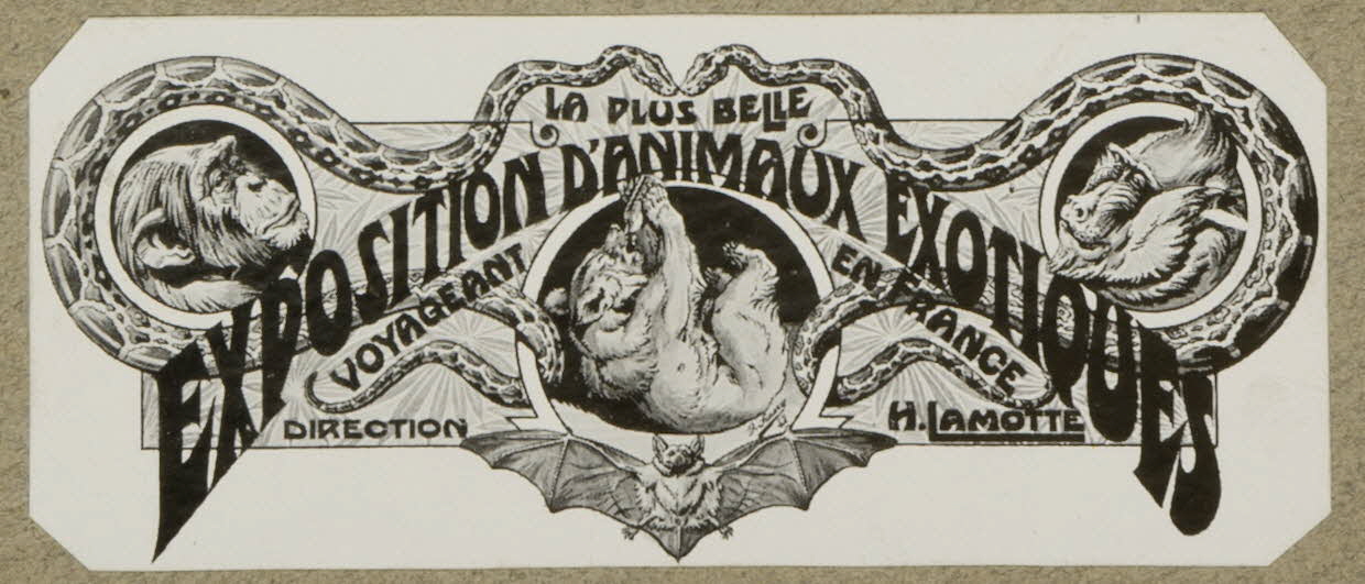 estampe LA PLUS BELLE  EXPOSITION D'ANIMAUX EXOTIQUES 1967.116.15.5 Photo