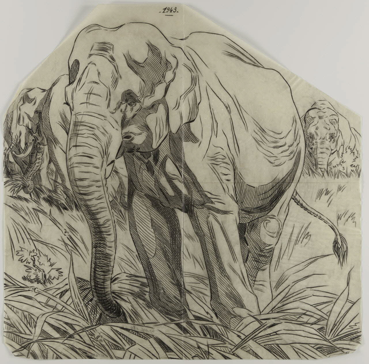 Gustave Soury dessin Eléphants d'Asie 1943 1967.116.180 Photo
