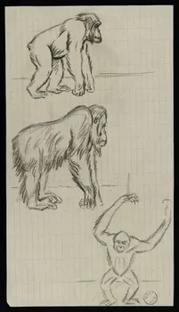 Gustave Soury dessin Singes 1966 1967.116.199  Photo