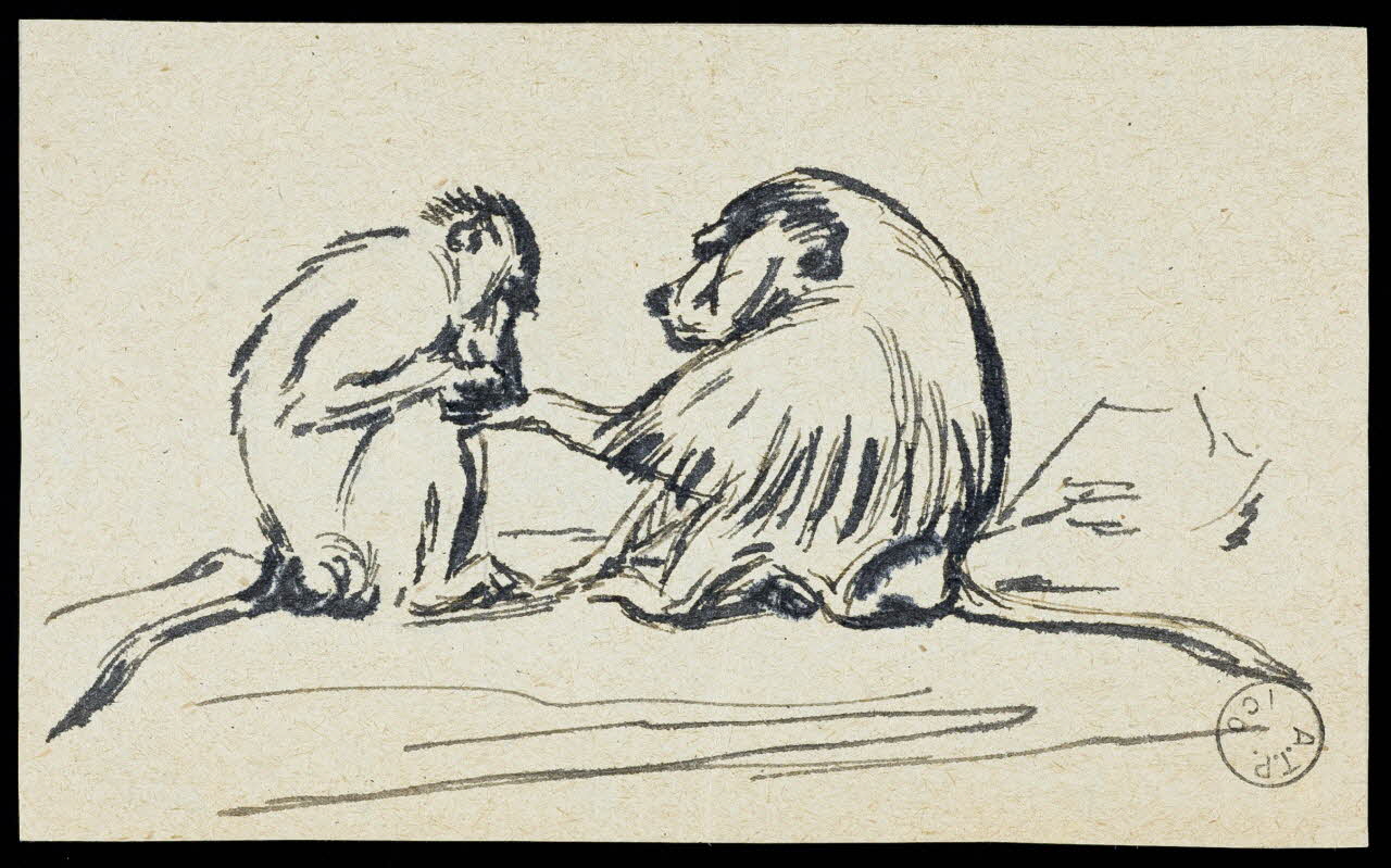 Gustave Soury dessin Couple de cynocéphales 1966 1967.116.200 Photo