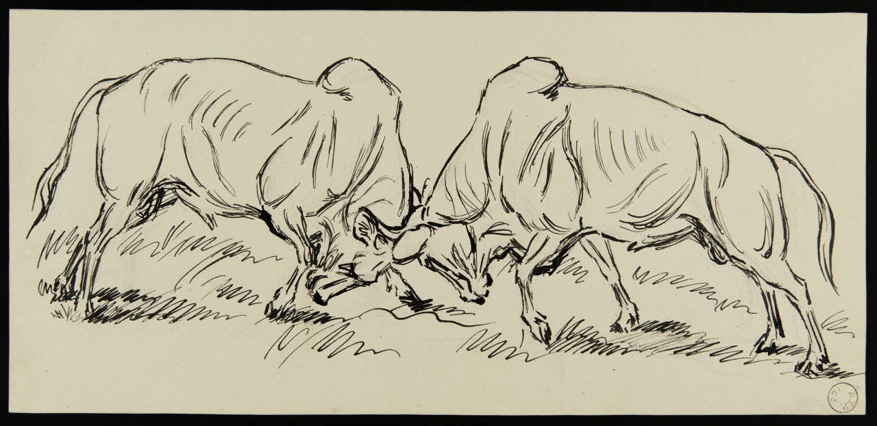 Gustave Soury dessin Etude d'un combat de zébus mâles 1966 1967.116.209 Photo