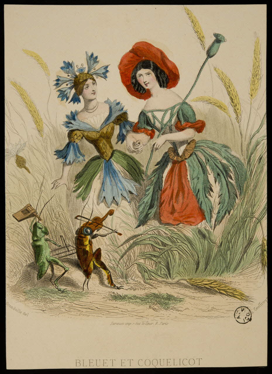 estampe BLEUET ET COQUELICOT 1967.116.27 Photo