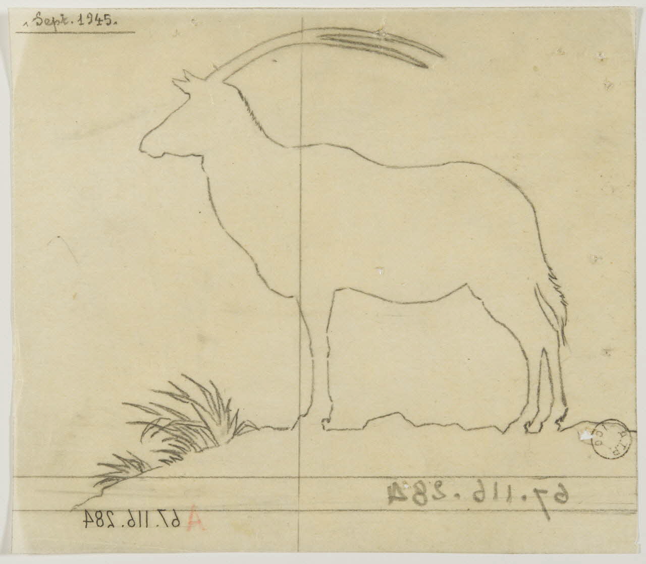 Gustave Soury dessin Silhouette d'oryx d'Arabie 1945 1967.116.284 Photo
