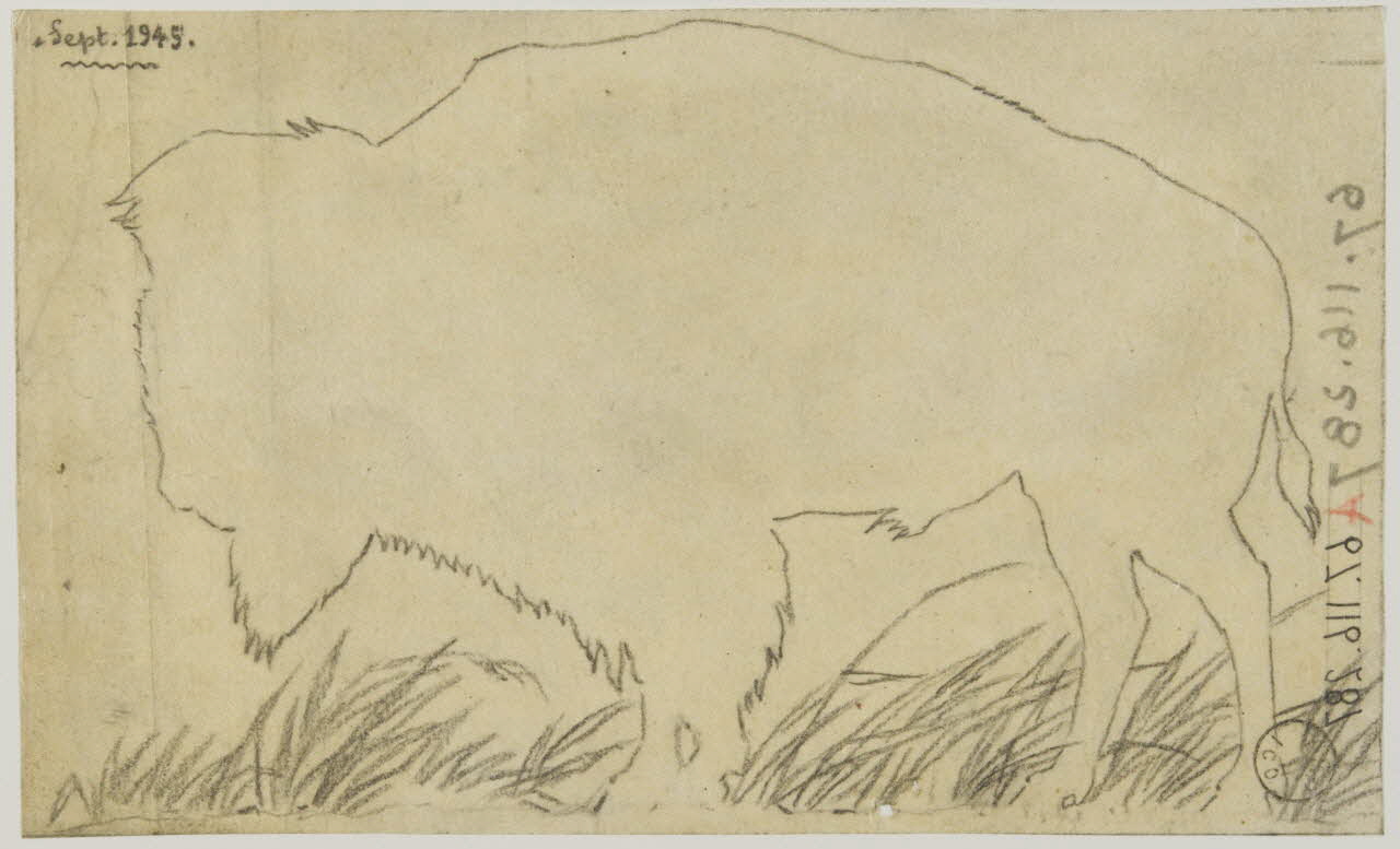 Gustave Soury dessin Silhouette de bison d'Amérique 1945 1967.116.287 Photo