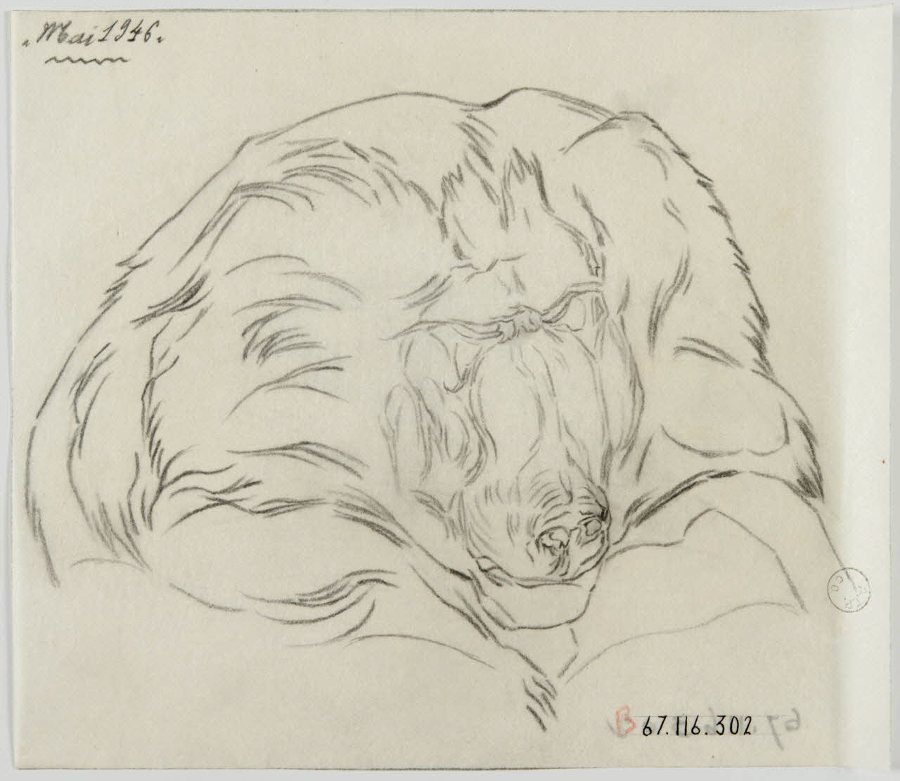 Gustave Soury dessin Tête de mandrill 1946 1967.116.302 Photo