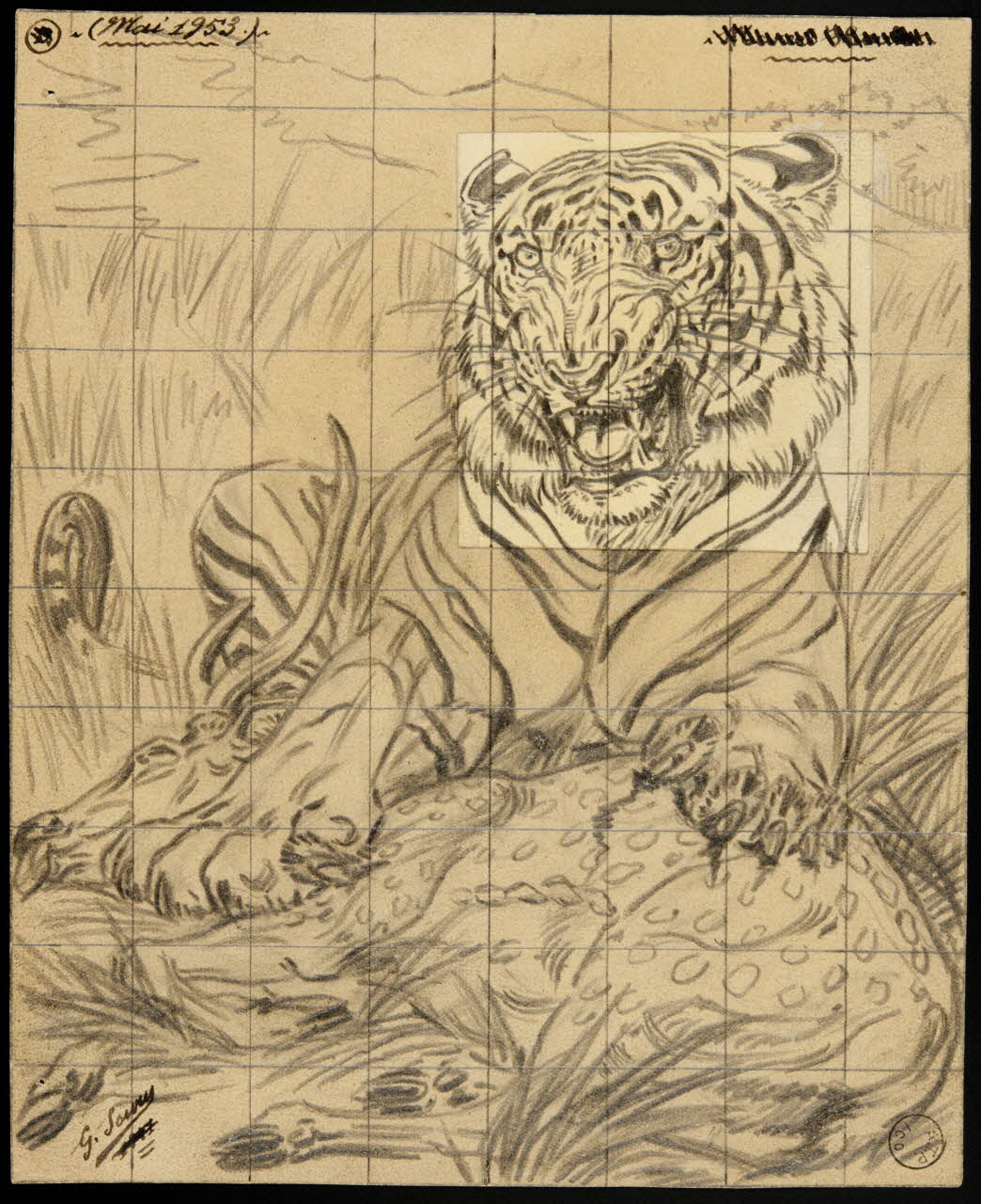 Gustave Soury dessin Tigre et sa proie 1953 1967.116.329 Photo