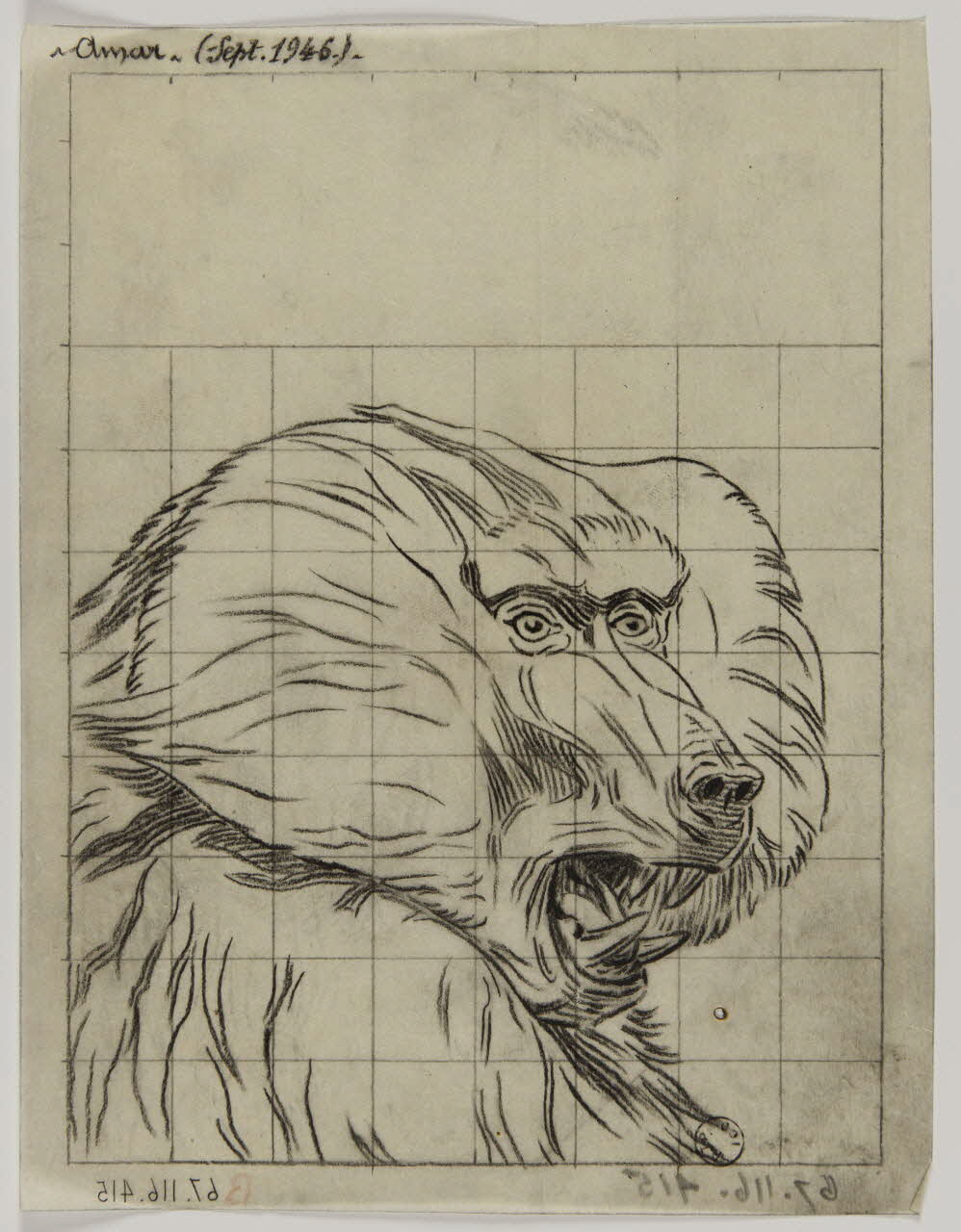 Gustave Soury dessin Tête de babouin 1946 1967.116.415 Photo