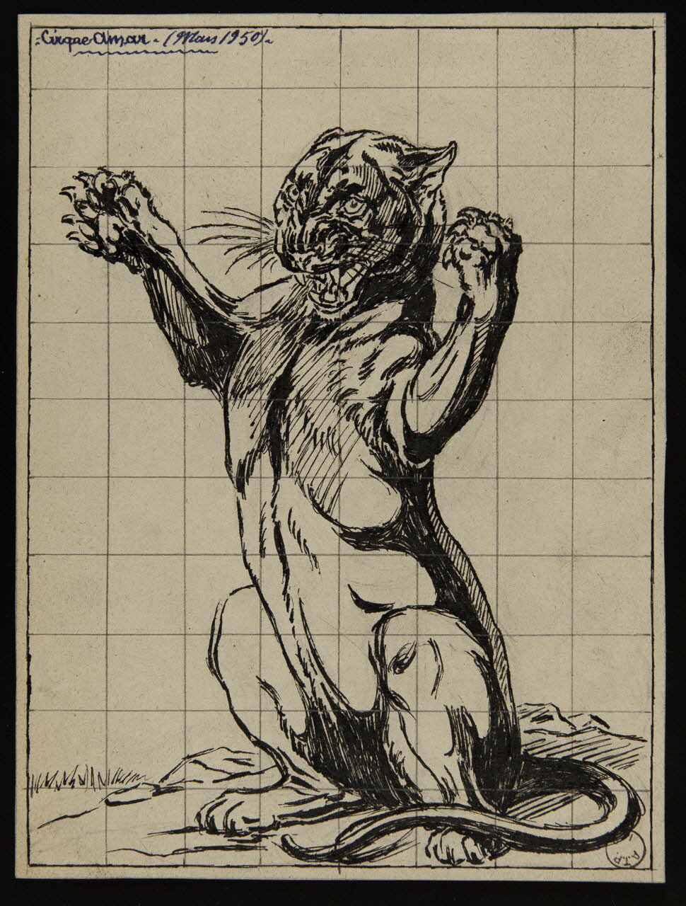 Gustave Soury dessin Panthère noire 1950 1967.116.423 Photo