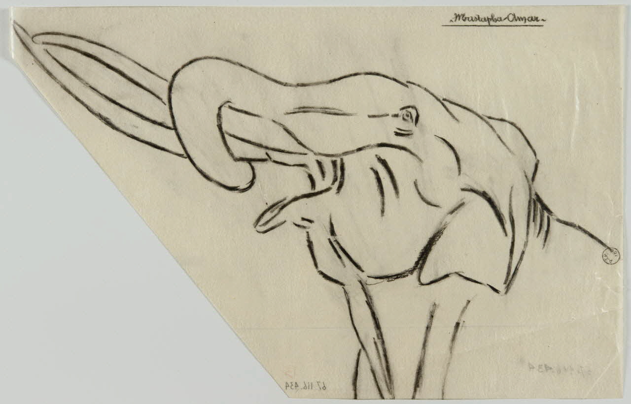 Gustave Soury dessin Eléphant d'Asie à longues défenses 1966 1967.116.434 Photo