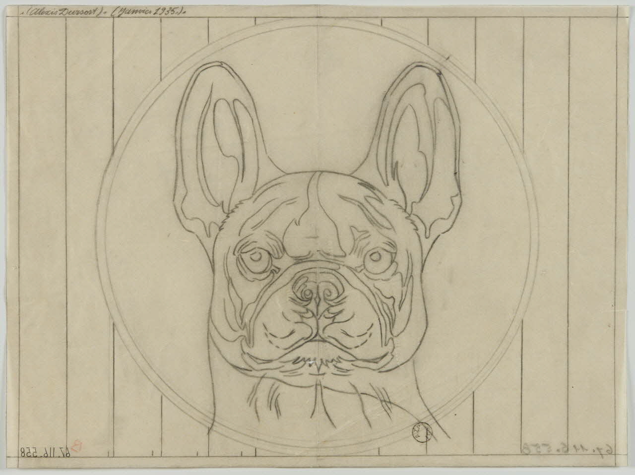 Gustave Soury dessin Tête de bouledogue 1935 1967.116.558 Photo