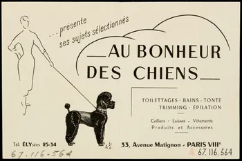 estampe CHENIL DE FRANCE  AU BONHEUR  DES CHIENS 1967.116.564 Photo