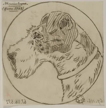 Gustave Soury dessin Tête de fox-terrier 1947 1967.116.572 Photo