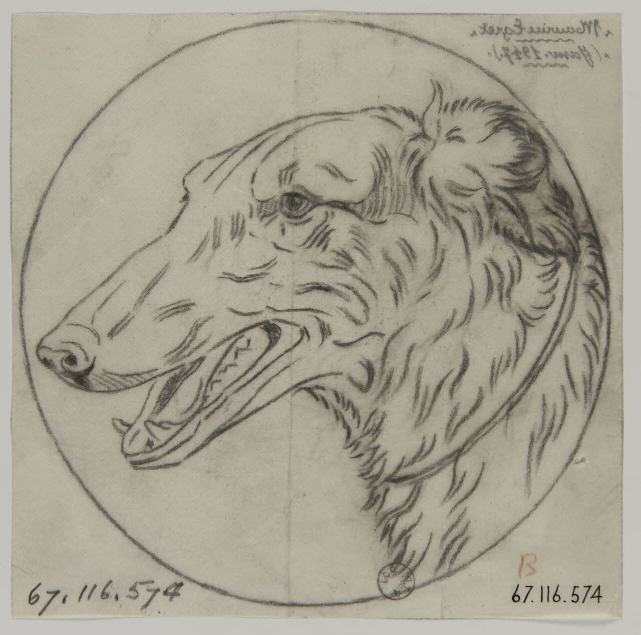Gustave Soury dessin Tête de levrier russe en médaillon 1947 1967.116.574 Photo