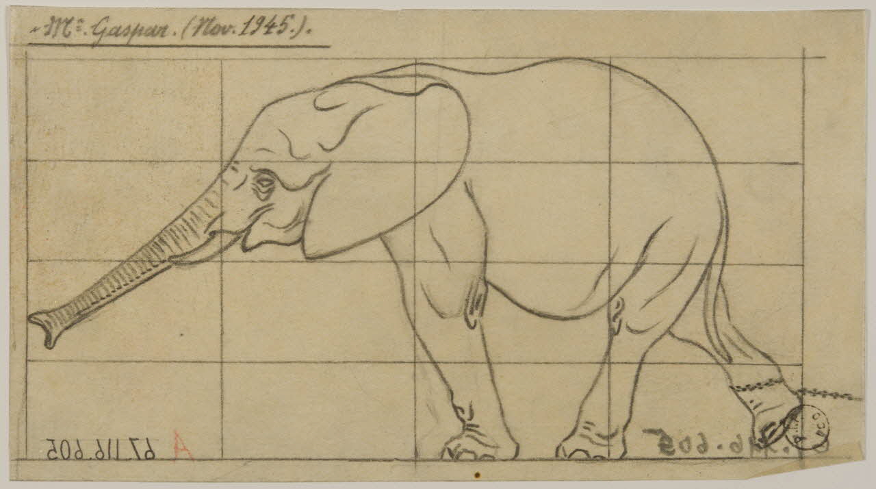 Gustave Soury dessin Eléphant d'Afrique enchaîné 1945 1967.116.605 Photo