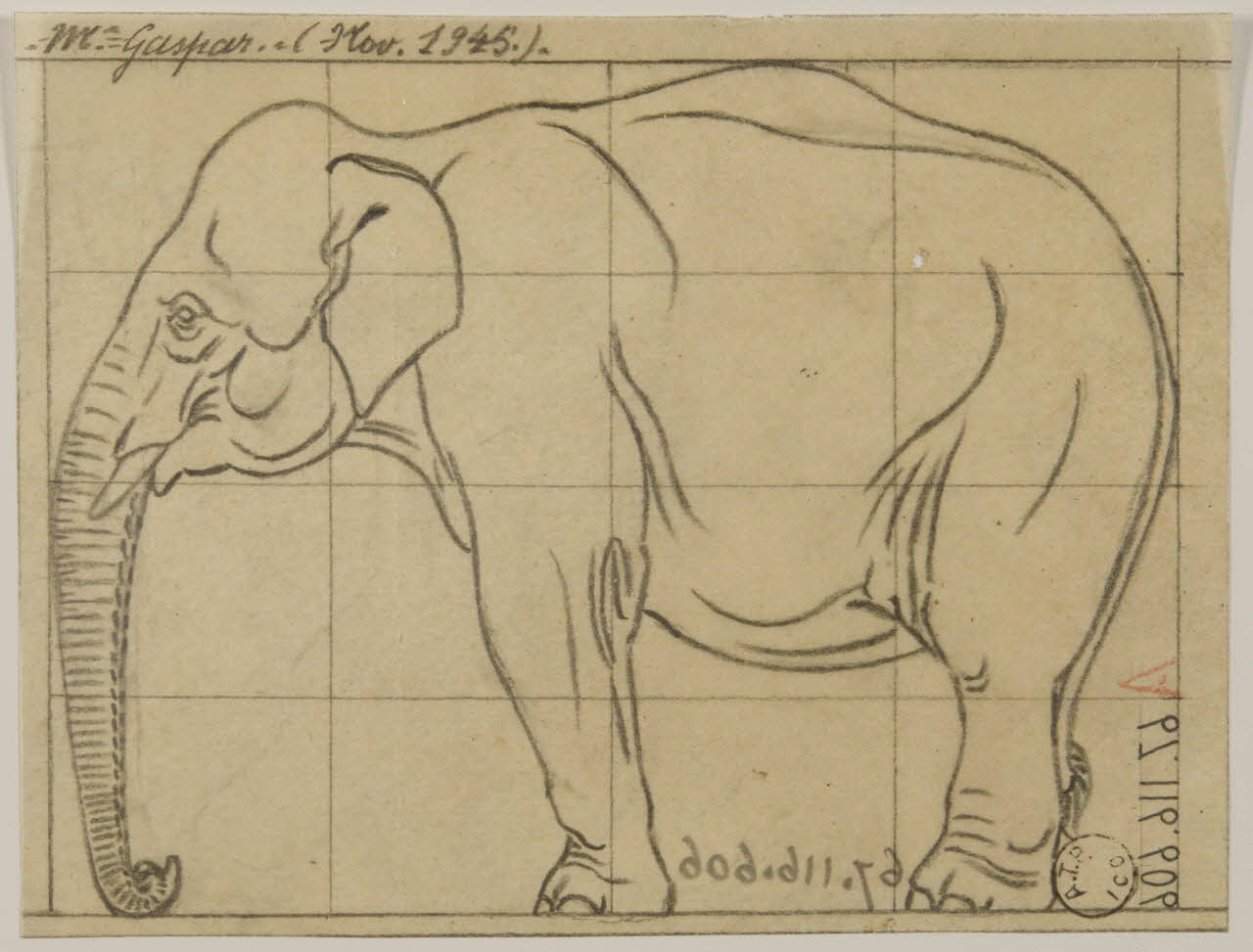 Gustave Soury dessin Eléphant d'Asie 1945 1967.116.606 Photo