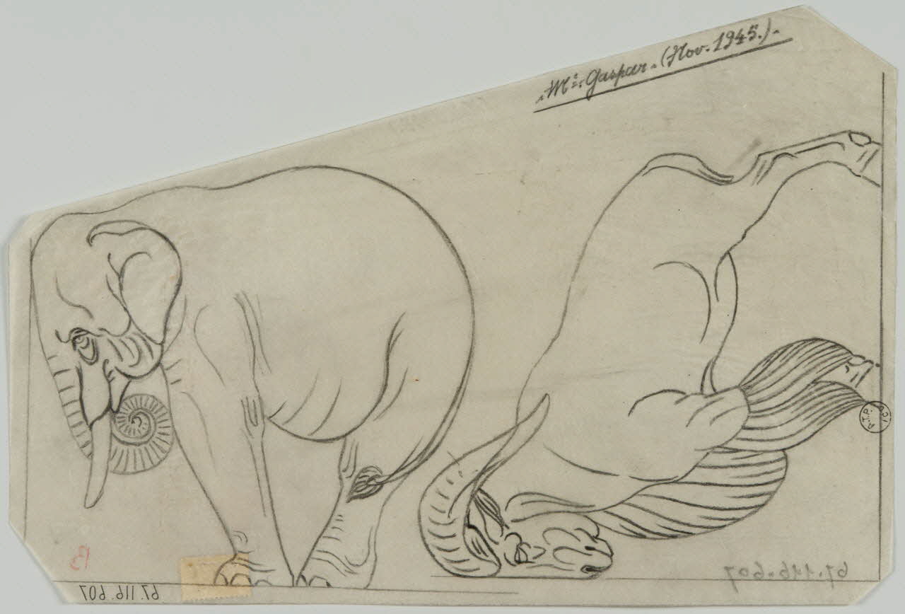 Gustave Soury dessin Eléphant et mouflon 1945 1967.116.607 Photo
