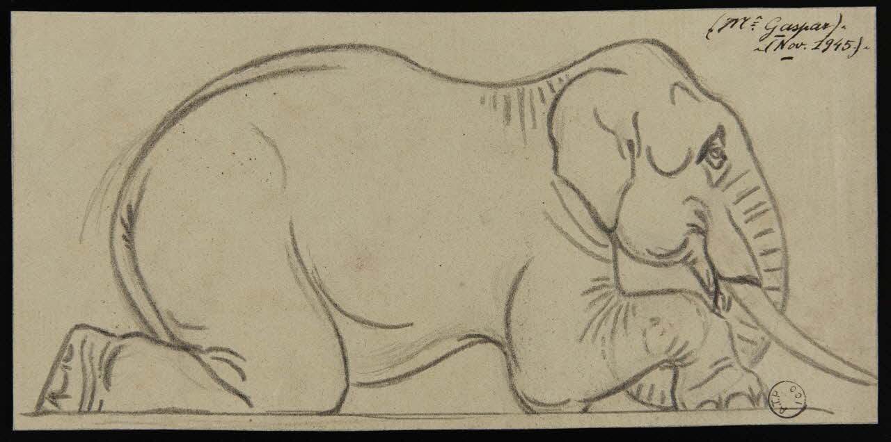 Gustave Soury dessin Eléphant d'Asie couché 1945 1967.116.609 Photo
