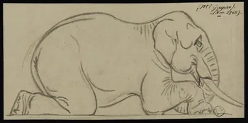 Gustave Soury dessin Eléphant d'Asie couché 1945 1967.116.609 Photo